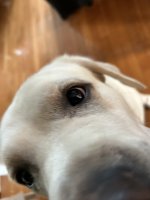 IMG_7560.jpeg