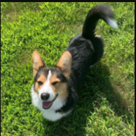 tucker