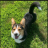 tucker